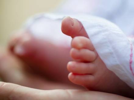 IL malpractice lawyer