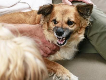 Arlington Heights Personal Injury Attorney